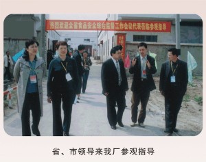 省、市领导来我厂参观指导